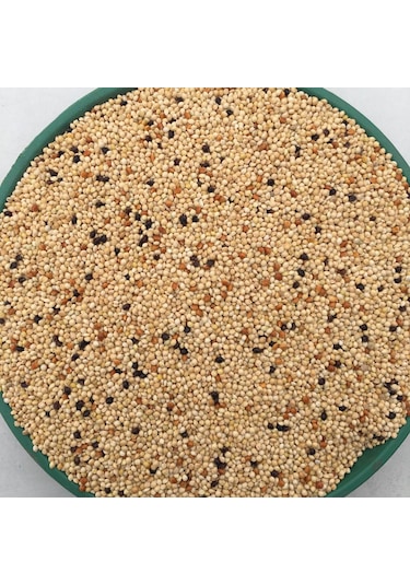 Vivid Muhabbet Kuş Yemi Karışık 1 KG