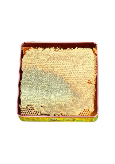 Hizan Petek Balı - 1,5 Kg