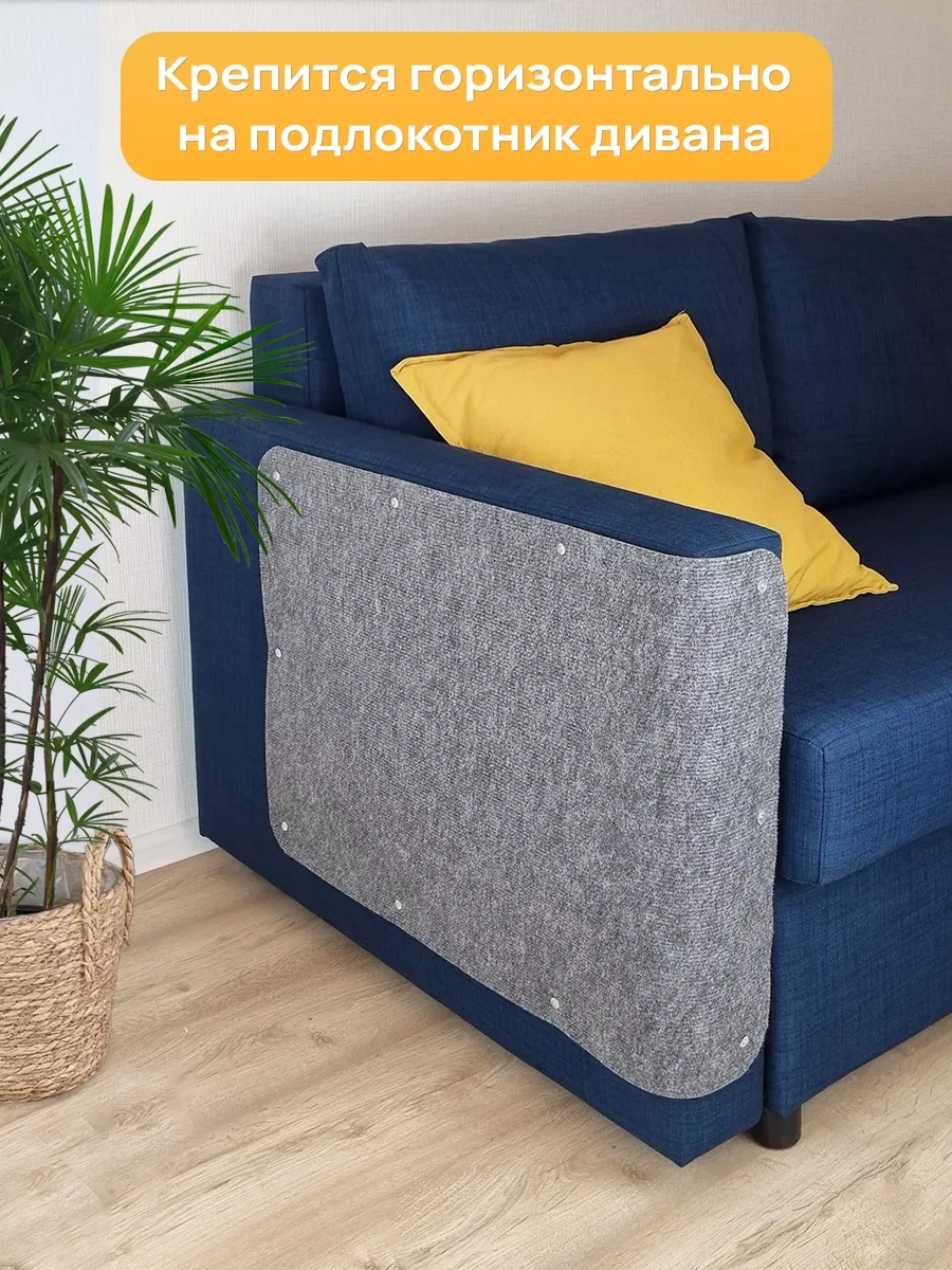 Aseliadia Kedi Kınağı - 80x50 Cm Kanepe Tipi 191549420