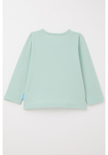 Breeze Erkek Bebek Uzun Kollu Tişört Basic 9 Ay-3 Yaş, Mint Yeşili Mint Yeşili