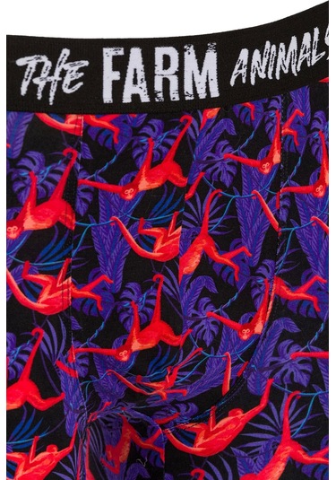 Farm Animals Red Monkey Desenli Boxer