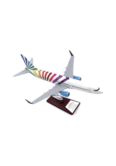 Zekupp - Maket Uçak - Boeing 737-800 1/100 - RENKLİ ÖZEL TASARIM Model Uçak