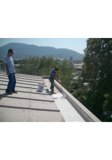 İzo White Glass Beyaz Mucize İlaç Solvent Bazlı Yalıtım Örtüsü 1