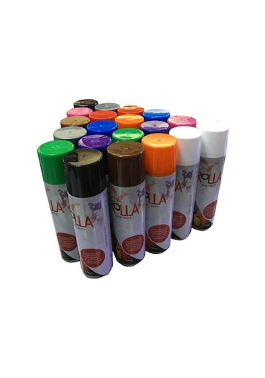 Rolla Sprey Boya 170 Ml