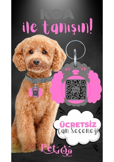 Petjoo 14.Koa Pembe-Gri Qr'lı Köpek Künyesi