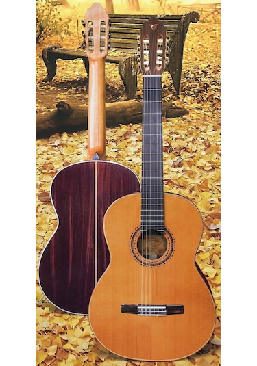 Valencia Custom Cgltd5 Klasik Gitar