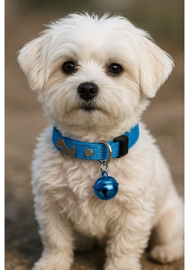 Mıt Köpek Figürlü Zilli Boyun Tasması Mavi
