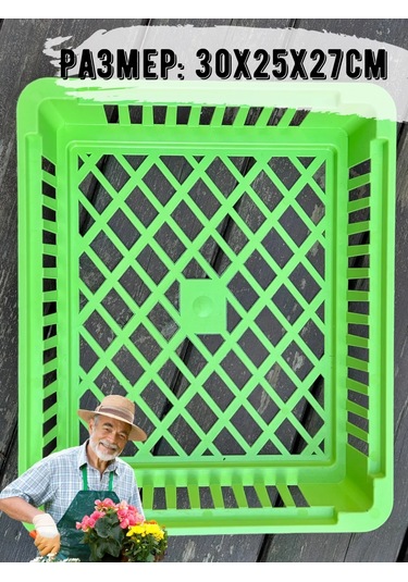 Domdacaogorod Soğanlı Bitkiler Ve Kelebek Yetiştirme Sepeti 383849206