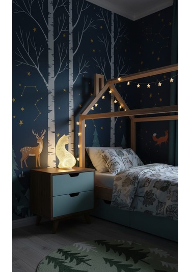 Led Aydınlatmalı Kedi Lambası