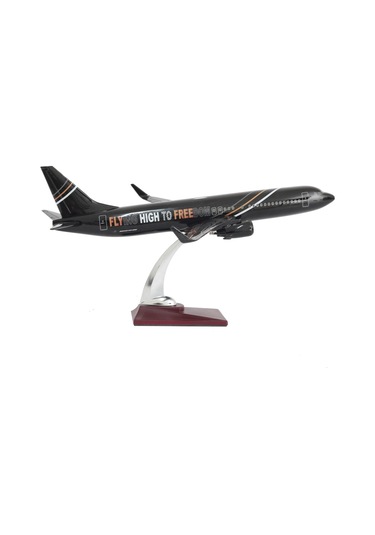 Zekupp Boeing 737-800 1/100 Ölçek FHTF Sloganlı Model Uçak