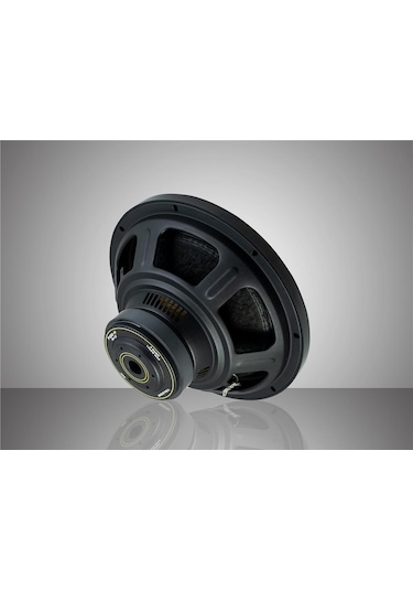 For-x Xw-12 30 Cm 1200 Watt 300 Rms Yeni Seri Subwoofer