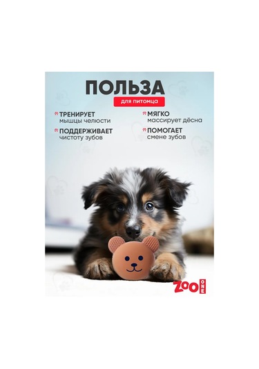 Zooone Cıvıltılı Top Köpek Oyuncağı 184367162