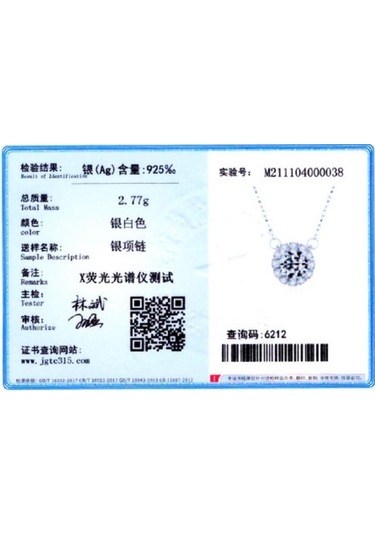 Tancise S925 Gümüş Sınır Ötesi Mikro Kakma Kolye Kolye Kadın Soğuk Rüzgar Klavikula Zinciri. Gümüş