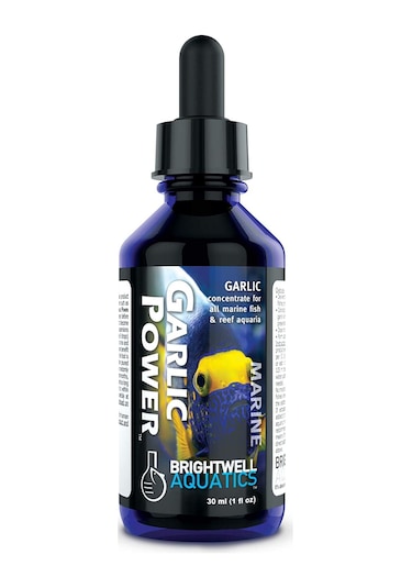Brightwell Garlic Power 30 ML (Balıklar İçin Konsantre Sarımsak Ö