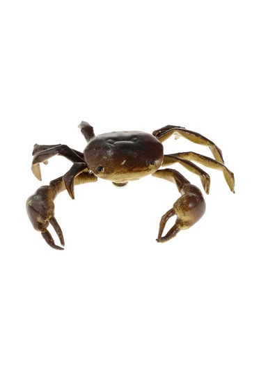 Suntek Son Derece Simüle Kil Böcekler Rastgele Renkli Hayvanlar