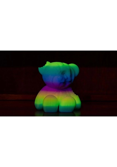 Polymaker Panchroma Luminous Pla Filament Rainbow