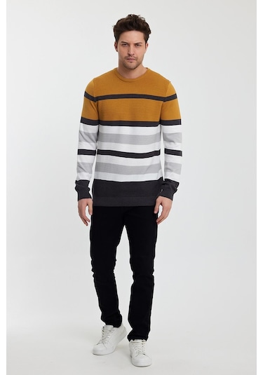 Alexandergardı Bisiklet Yaka Renk Bloklu Erkek Kazak E23-6710 001