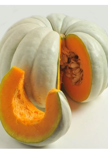 +20 Adet Bal Kabağı Tohumu