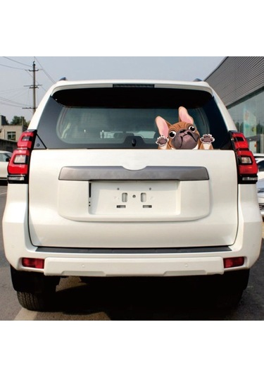 1 Adet Köpek Araba Sticker Komik Yüz Büyük Kulaklar Ve Gözler Pug Köpek Sticker Araba Arka Pencere Duvar Kapı Dizüstü Bilgisayar 8.7 6.3in Sarı