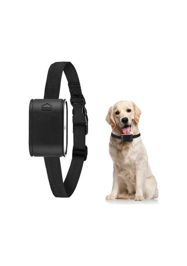 Lemestar Köpekler İçin Siyah Abs Kordonlu Alıcılı Kuruşluk, Elektronik Çit Uyumlu, H45288 Ek Parçası, 60cm Uzunluk