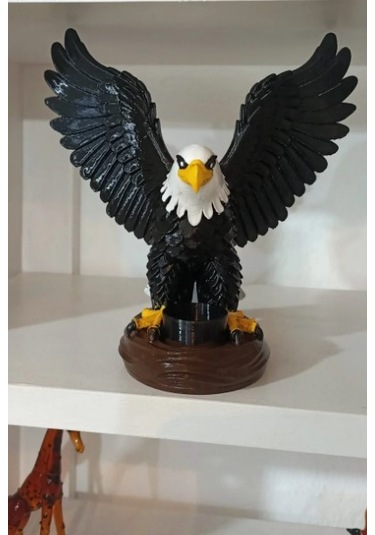 Kara Kartal Asil Obje 0
