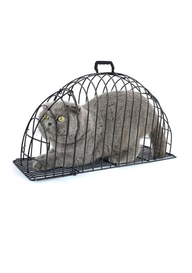 Homyl Pet Kurutma Kutusu Duş Köpek Küçük Hayvanlar Seyahat