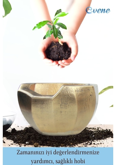 Saksı Çiçek Kaktüs Saksısı Lüx 15 Cm Önü Açık Desenli 3'lü Set Çiçeklik - Altın Eskitme