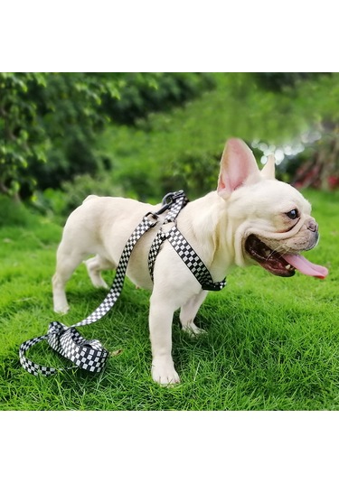 Geeroyoo Ayarlanabilir Poliester Köpek Tasması Ve Koşum Takımı - Siyah Desenli, Orta Boy Siyah