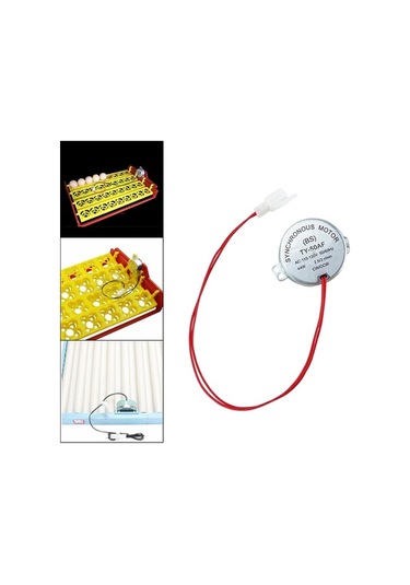 Pazly Yumurta Kuluçka Makinesi Otomatik Döndürme Ac-110v Suntek Model Vn