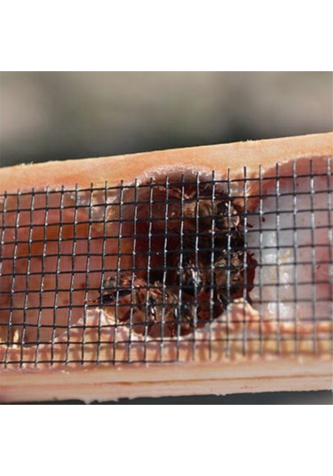 Xurunkeji Ahşap Kraliçe Arı Kafesi, Çok Fonksiyonlu Arı Kovanı Arı Kafesi Yetiştirme Kafesi Hücresi, Arı Kraliçesi Mahkumu, Arıcılık Aletleri