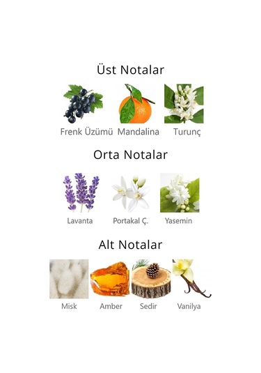 Royal Club De Polo Barcelona RPCN001003 Blanco Kaset Kadın Parfüm EDP 40 ML