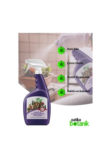 1 Lt Kaktüs Ve Sukulentler İçin Genel Besin - Yapraktan