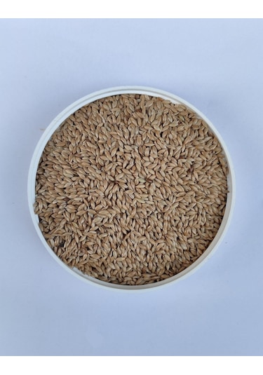 Sade Kanarya Yemi 25 KG