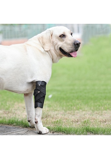 Homyl Artritten Stabilite Kaybı Için Köpek Bacak Brace Destek