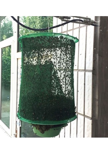 Novahub Yeşil Asılı Sinek Kapanı, Yeniden Kullanılabilir