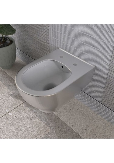 Lucco Garcia 53 CM Asma Klozet İçi Beyaz Dışı Platin