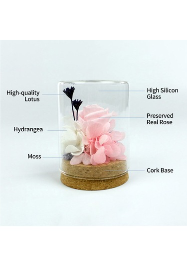 Reedark "özel Günler İçin Kalıcı Gül - Dekoratif Ve Kokulu Cam Kutu İçinde Gerçek Korunmuş Gül Çiçeği"