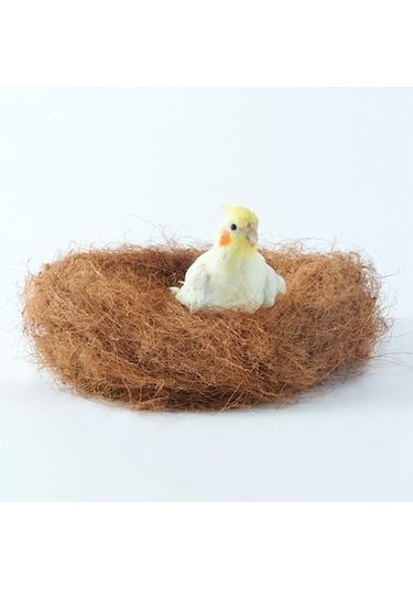 Lijinxu Hindistan Cevizi Elyafı Kuş Sığınakları Için Nefes