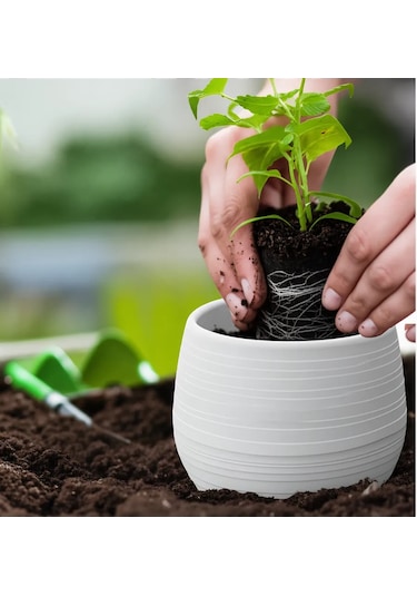 Saburg Çiçek Saksısı 3'lü Set, Otomatik Sulamalı 450 Ml 87136610