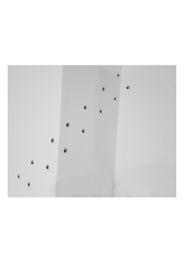 Şeffaf Pati Etiketi Sticker Sevimli Patiler, Kedi Patisi 51 Adet