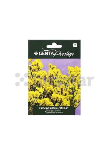 Çiçek Tohumu Deniz Lavantası Statis Sarı Genta Prestige