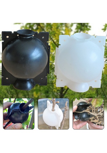 Dianziye Küçük Siyah Abs Bitki Kök Çıkartma Kutusu - Enkaz Ve Çiftleme İçin Ev İçi Kökleyici Aracı