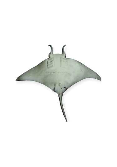 Hayvan Figürleri - Deniz Hayvanları 14 Cm - Vatoz Hayvan