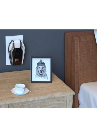 Lichen Dijital Ekran Ultrasonik Kemirgen Kovucu Frekans