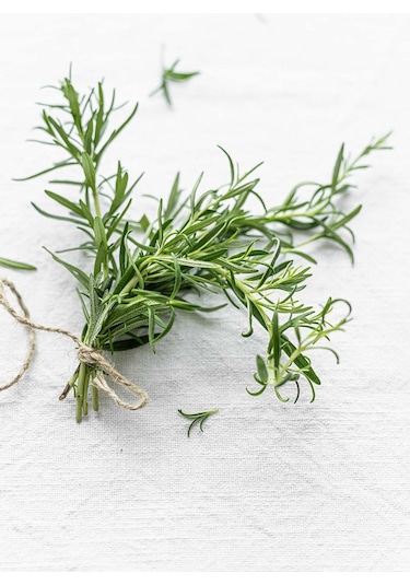 Intense Natural Saf ve Doğal Rosemary Essential Oil Biberiye Uçucu Yağı 20 ML