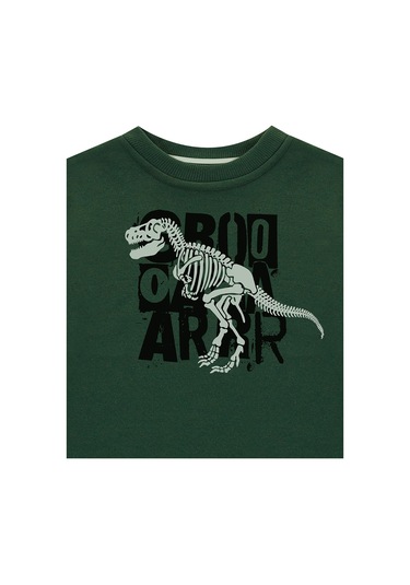Denokids Roarr Dino Erkek Çocuk Haki Sweatshirt Renkli