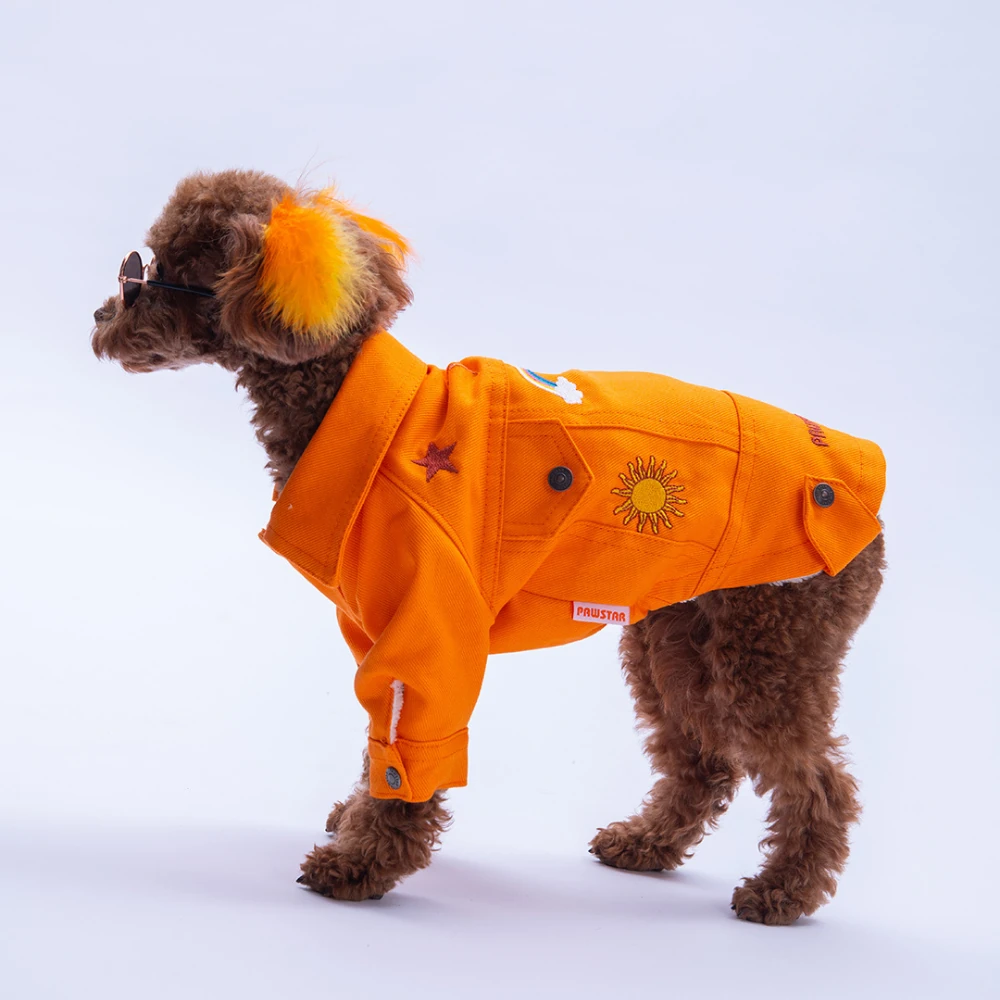 Turuncu Cancún Kedi Köpek Pop Ceket
