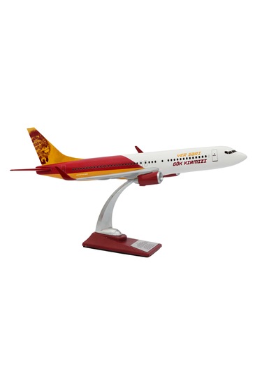 Zekupp Boeing 737-800 1/100 Ölçek Lion King Tasarımlı Maket Uçak