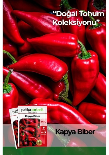 200 Adet Kapya Biber Tohumu