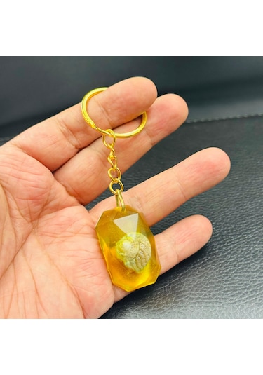 Salyangoz Toz Kehribar Anahtarlık Hcz-model Slyttmb